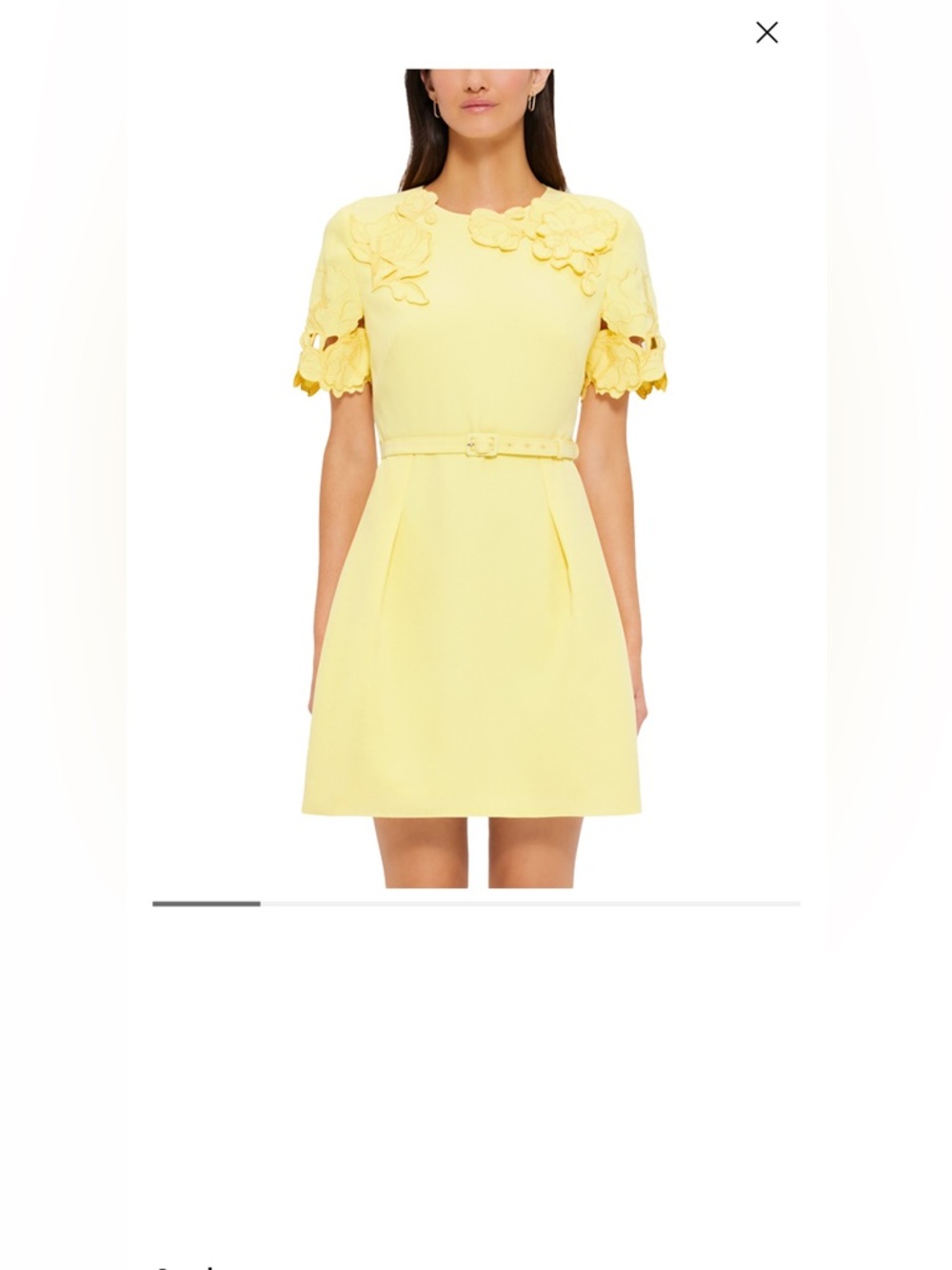Leo Lin Aurelie Women's Yellow Floral Appliqué Belted Dress size 8